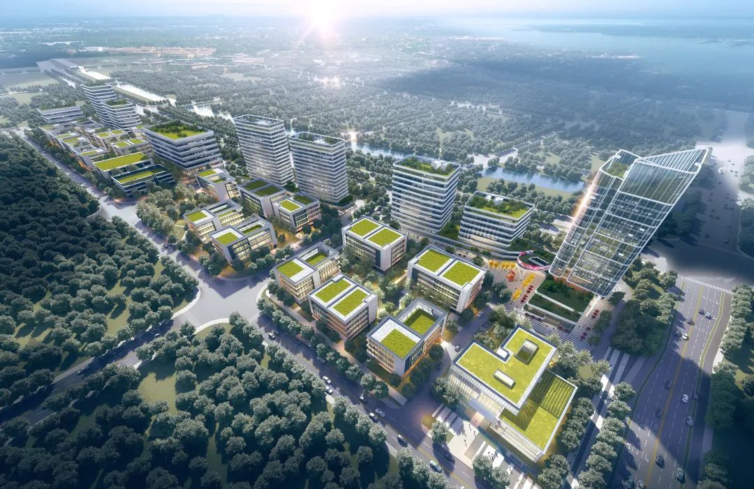 1657510721251294qVE2.png 7.png