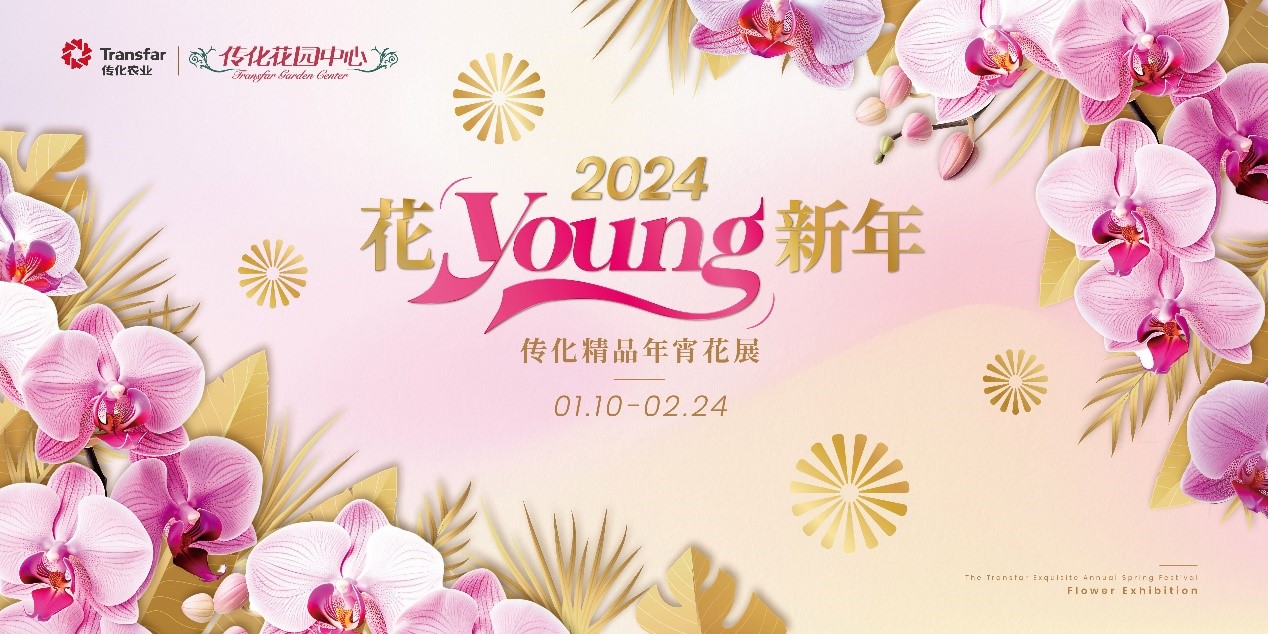 1705304036622218Ndvj.jpg 3.jpg