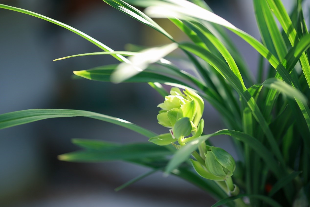 1705304142831893Pv1Q.jpg 9.jpg