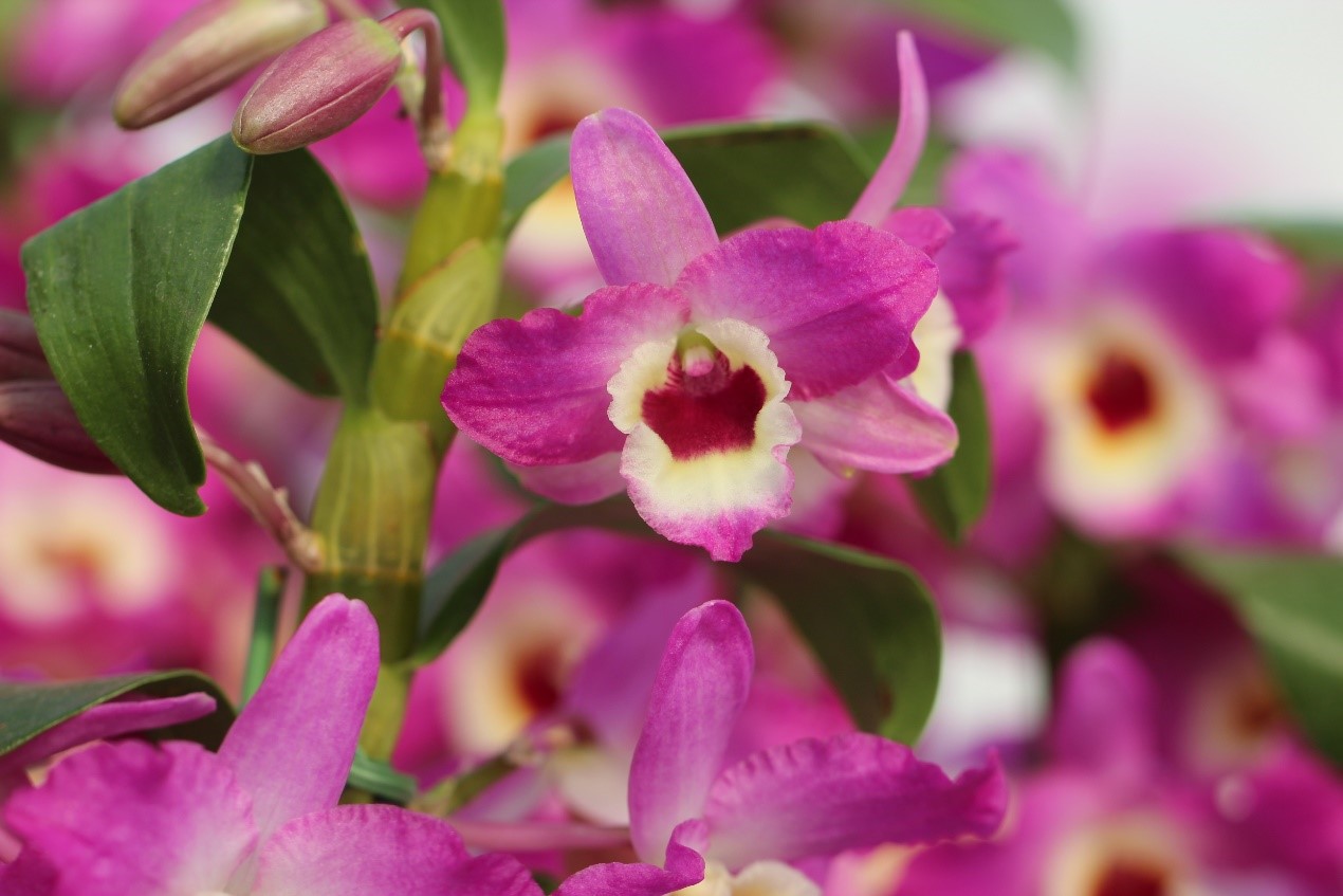 1705304214160497Ieyv.jpg 17.jpg