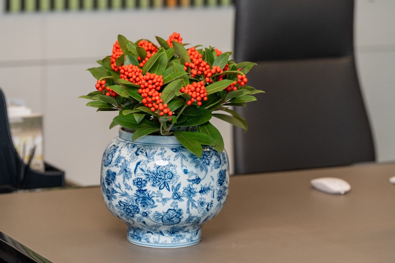 1705304219983917qD4r.jpg 18.jpg