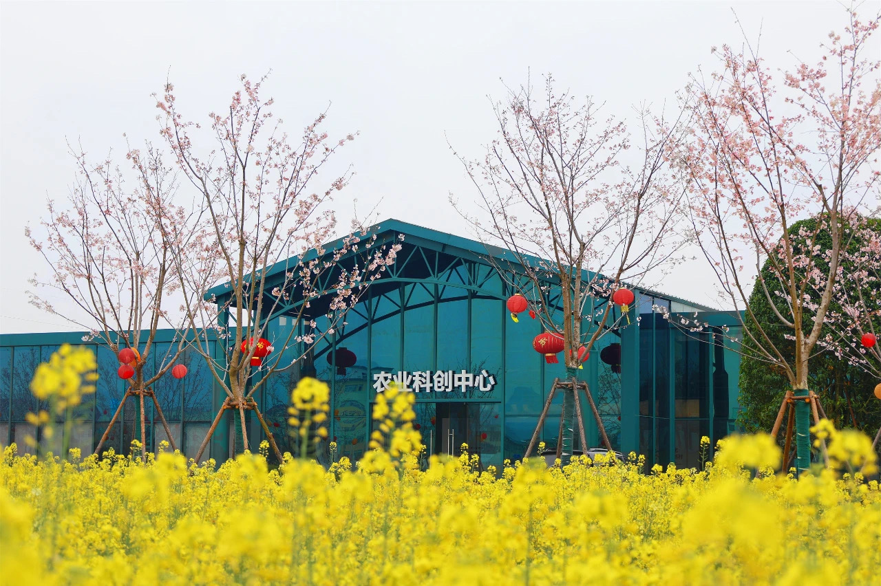 1713170521701617EINT.jpg 2.jpg