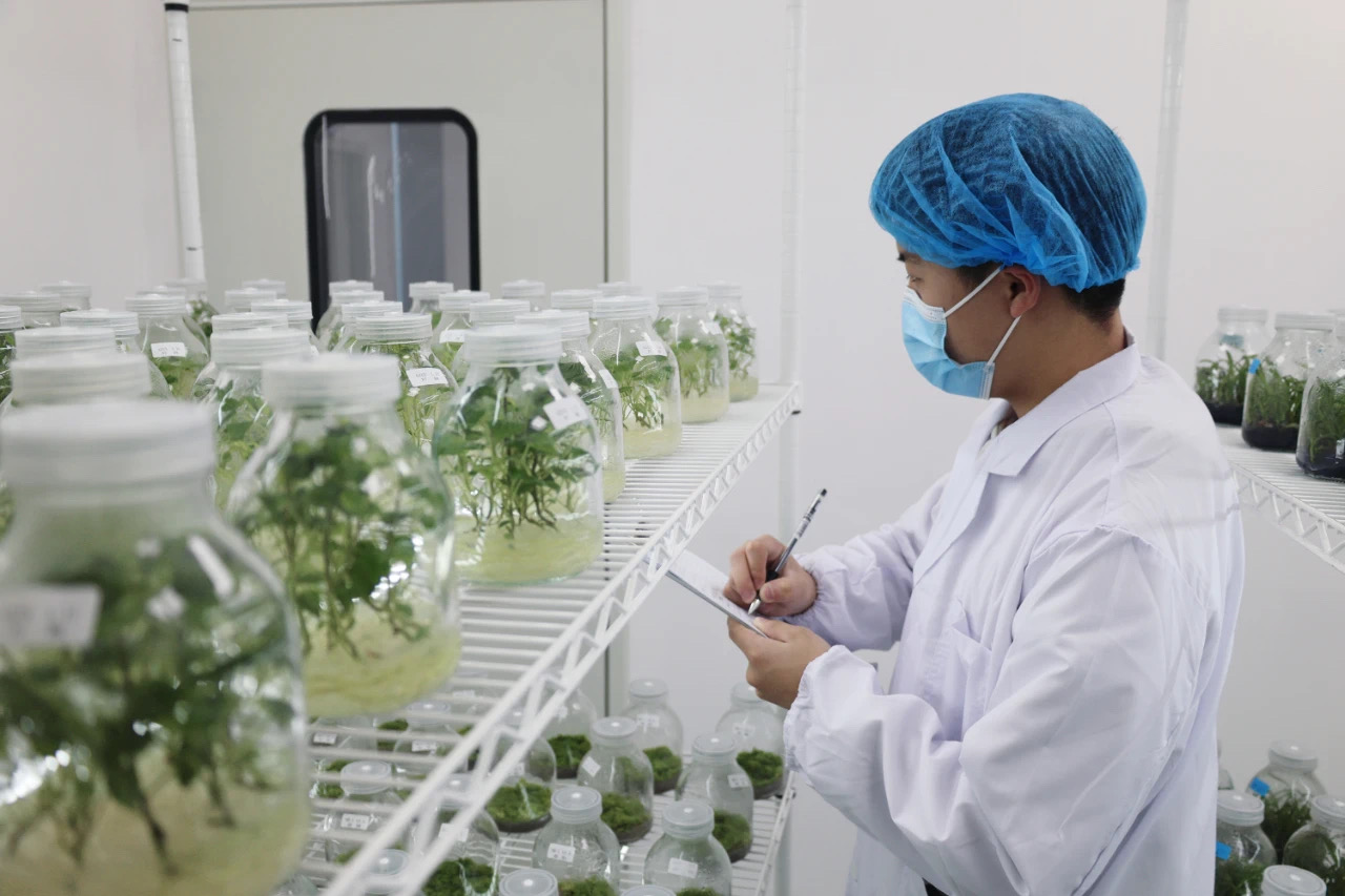 1713170536436824LvWh.jpg 3.jpg