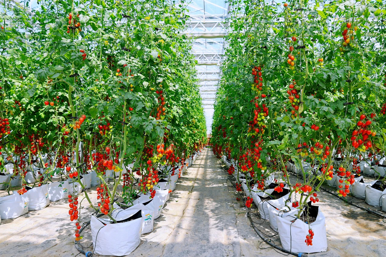 1713170556364019tqow.jpg 5.jpg