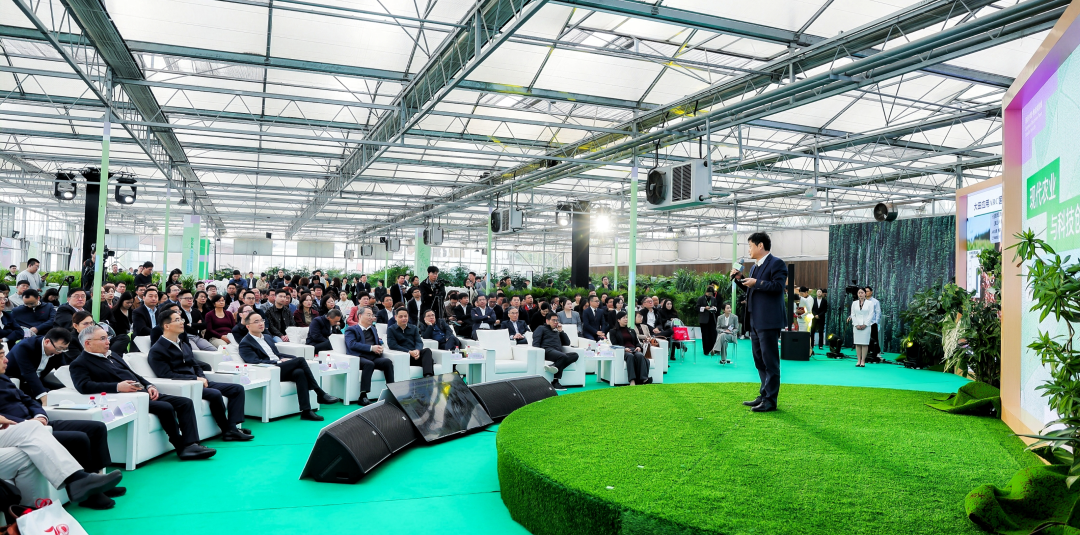 1732511891510155plp5.jpg 1125-1.jpg