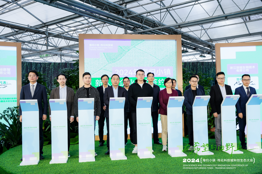 1732522268657464aCLx.jpeg 13.jpeg