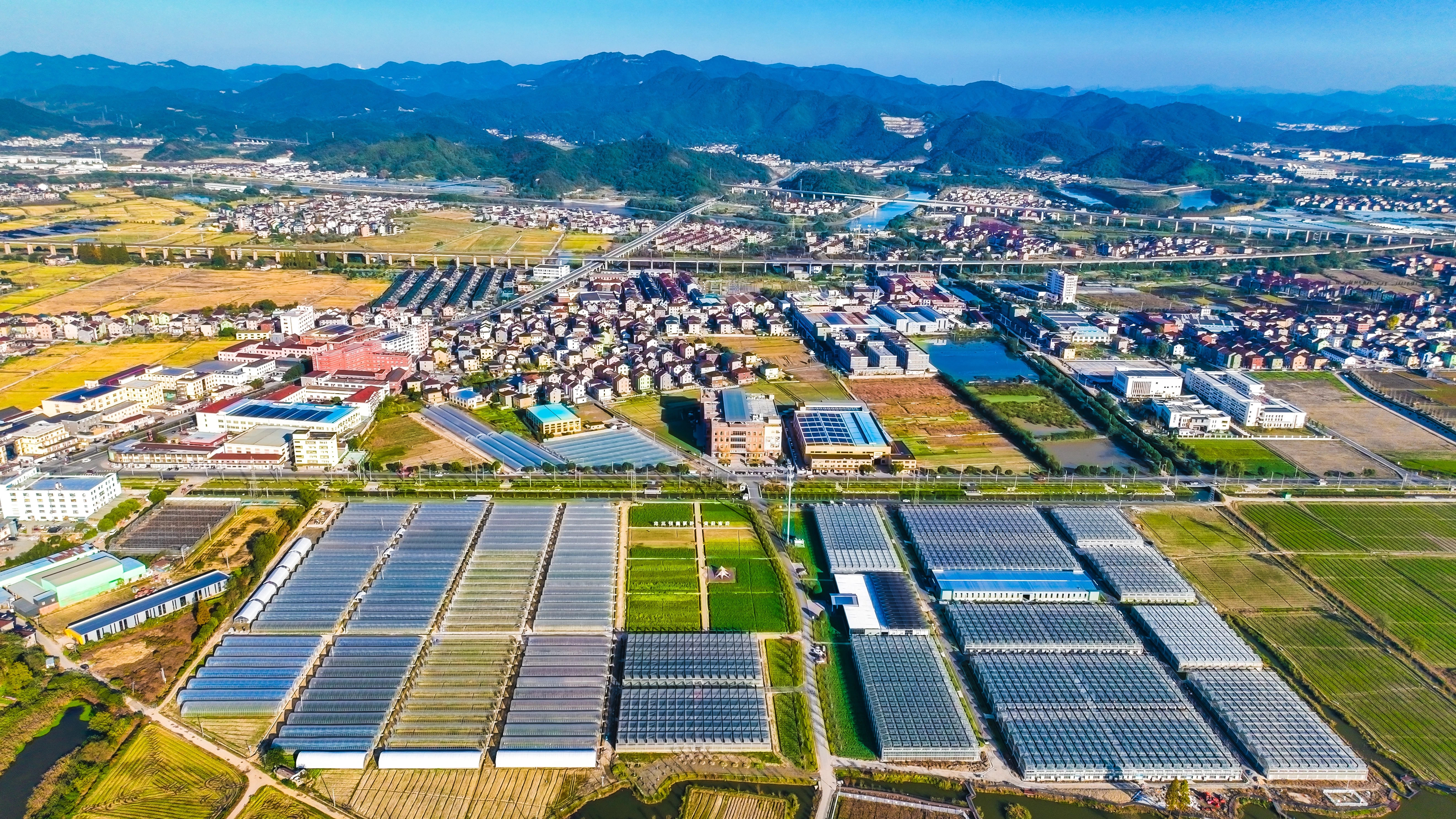 1733277746570620vVyR.jpg 13.jpg