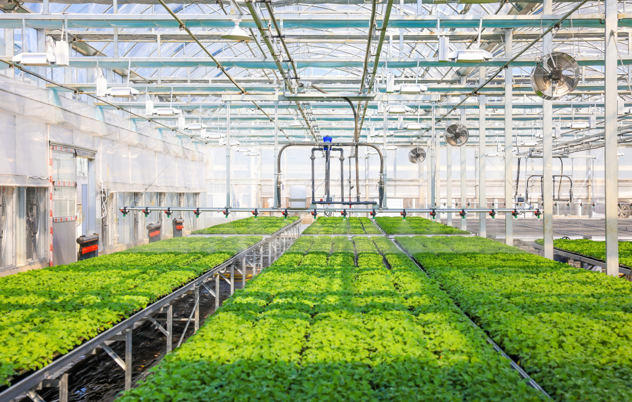 1733278213383989LiNU.png 1.png