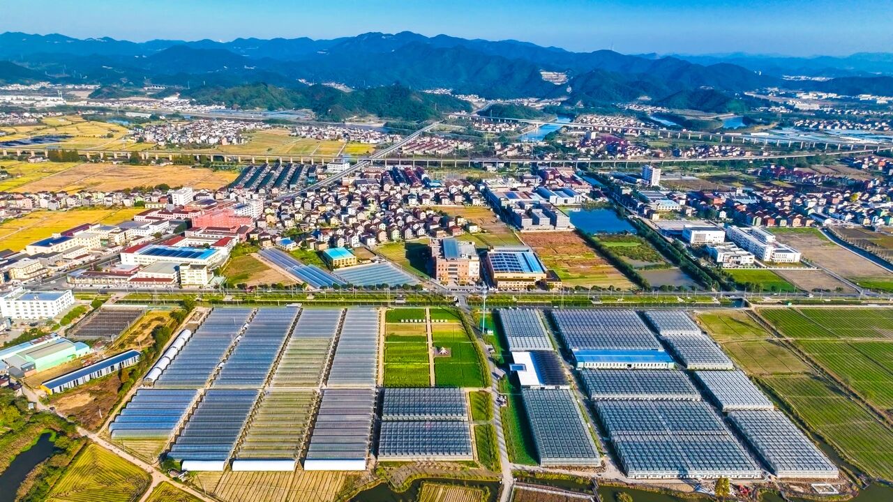 17677669935228663VXf.jpg 423243.jpg