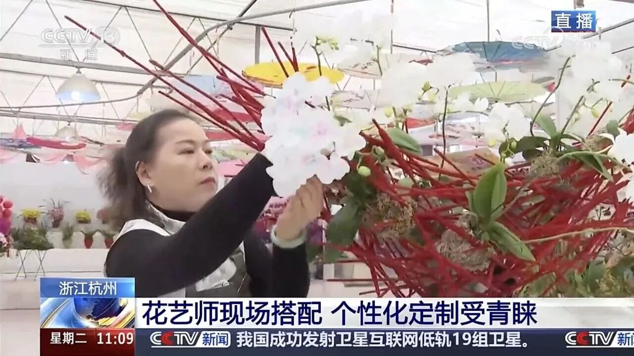 1768887165796539kCeM.jpg 5.jpg