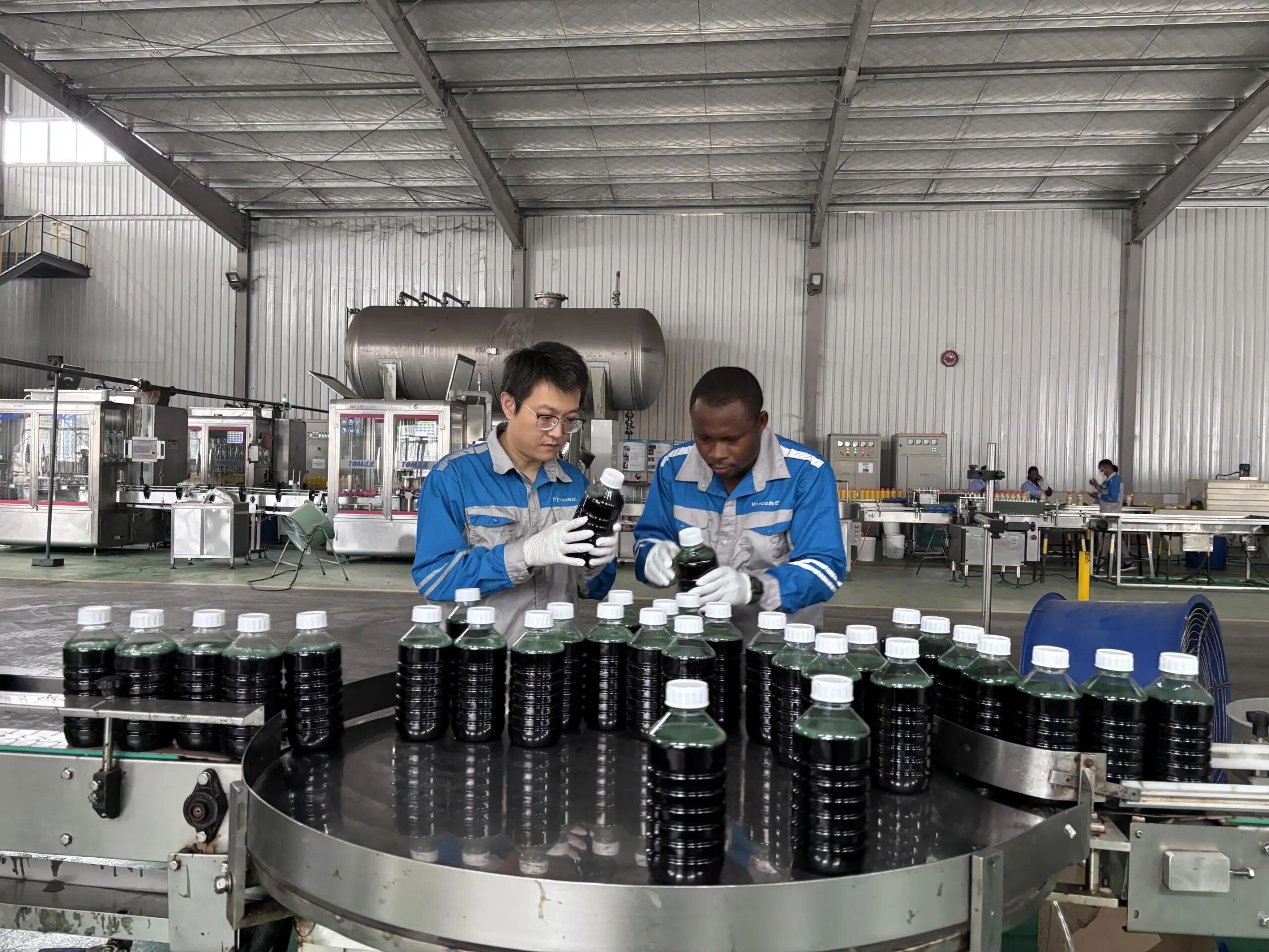 1768985581417277wi1n.jpg 3.jpg