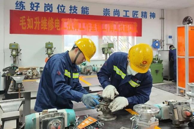 1769154569438187ue4e.jpg 33.jpg