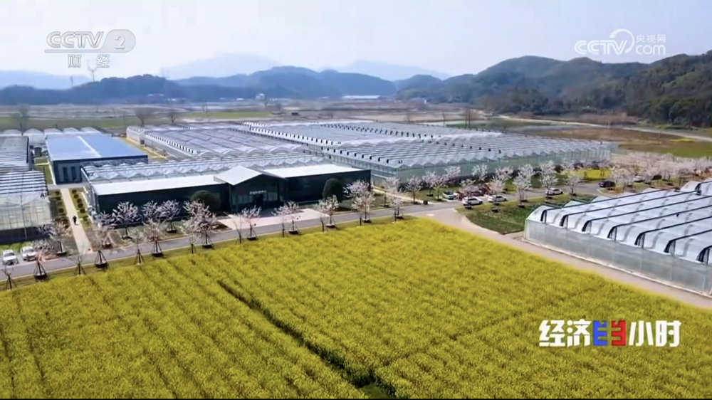 1772778933142267ZNvB.png 13.png