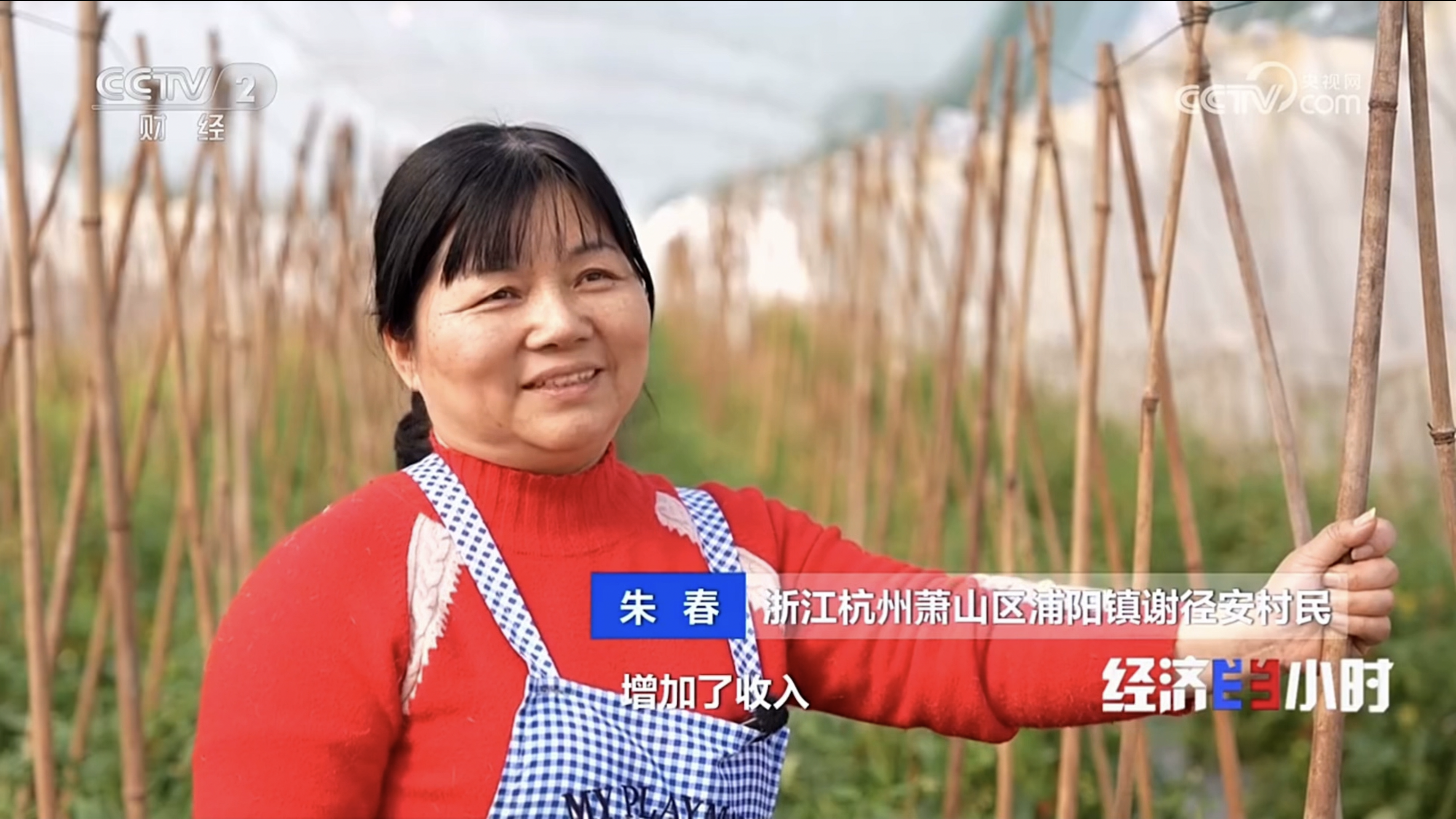 1772778956503829lCNv.png 14.png